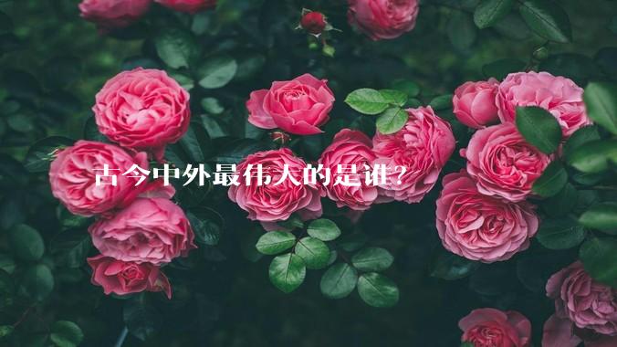 古今中外最伟大的是谁？